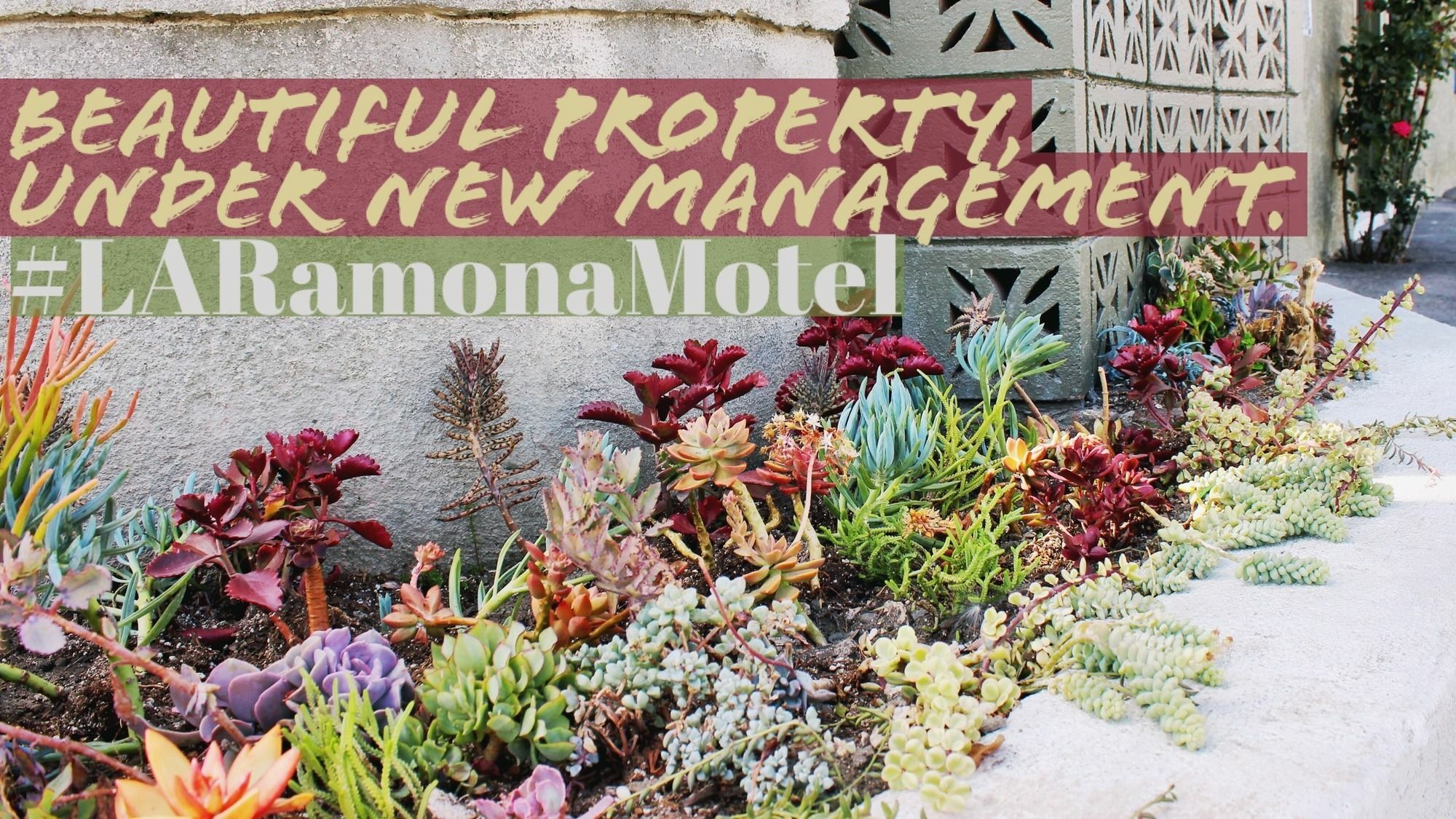 Ramona Motel Los Angeles Exterior photo